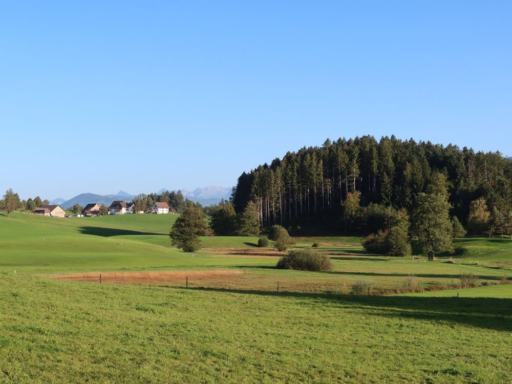 Blick Richtung Rechberg