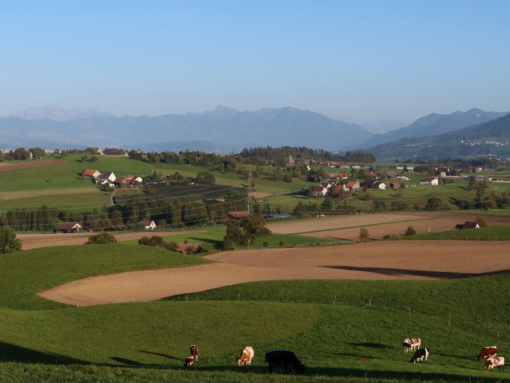 Weitblick zum Säntis (li.) und Speer (mi.)