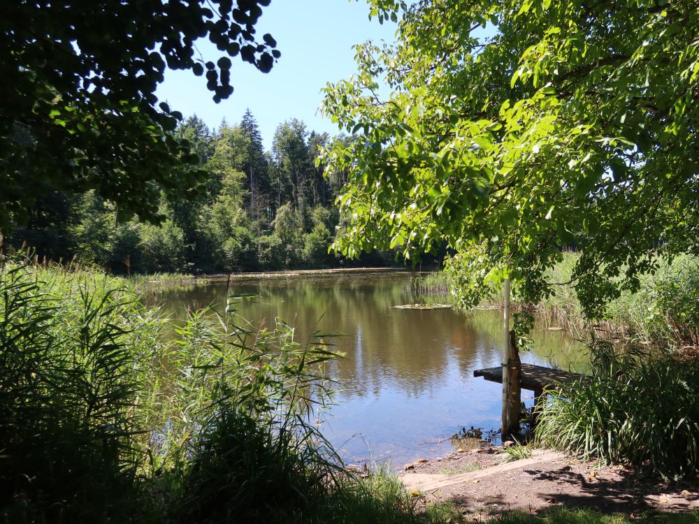 Waldweiher