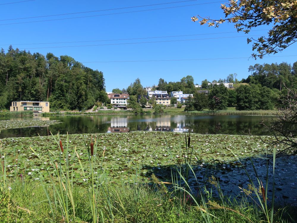 Gattikerweiher