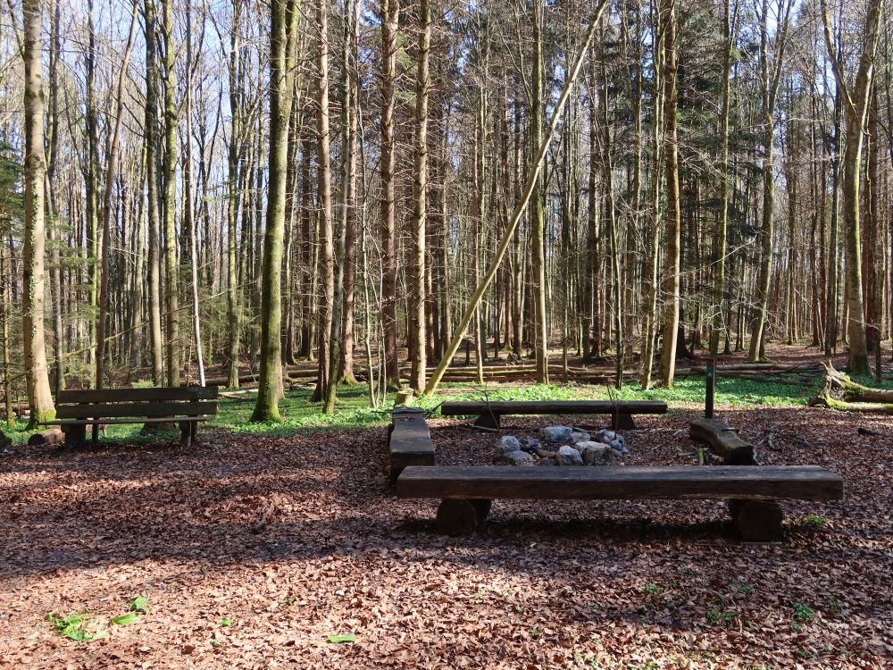Feuerstelle