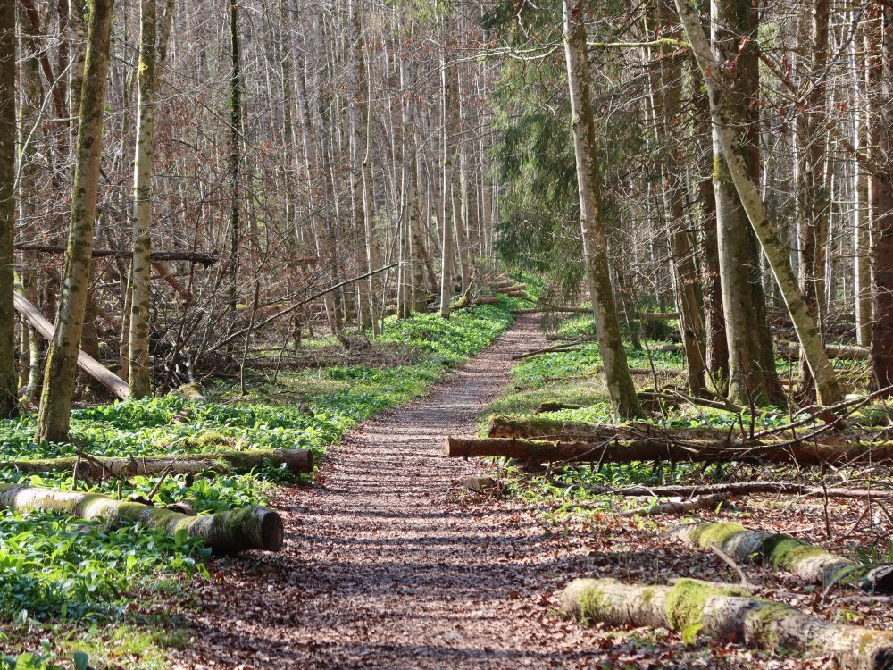 Spinnerweg