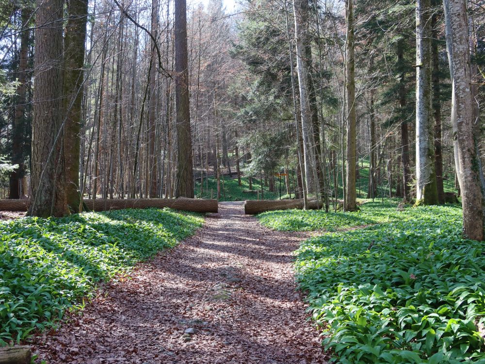 Spinnerweg