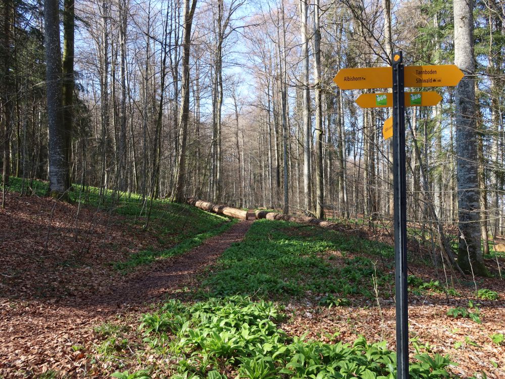 Wanderwegweiser