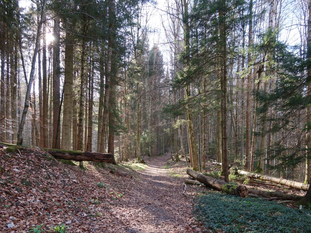 Spinnerweg