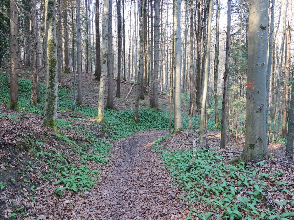 Spinnerweg