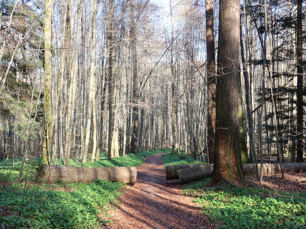Spinnerweg