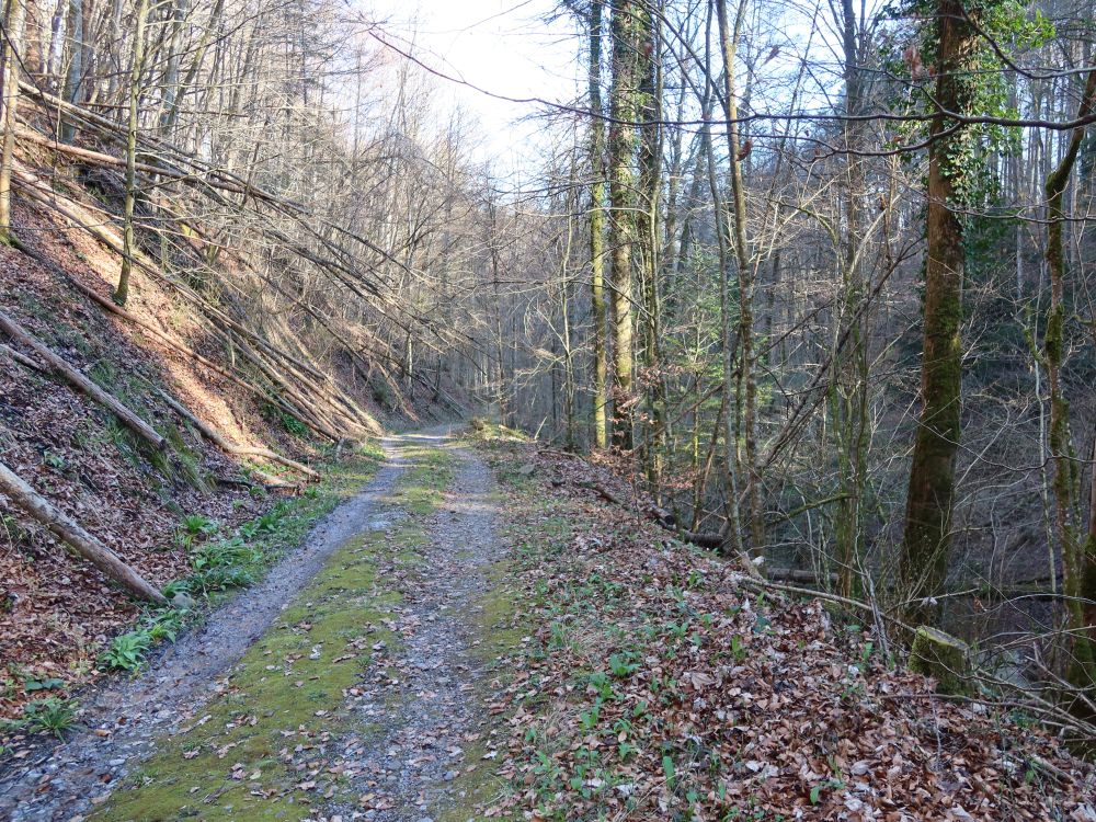 Albishornstrasse