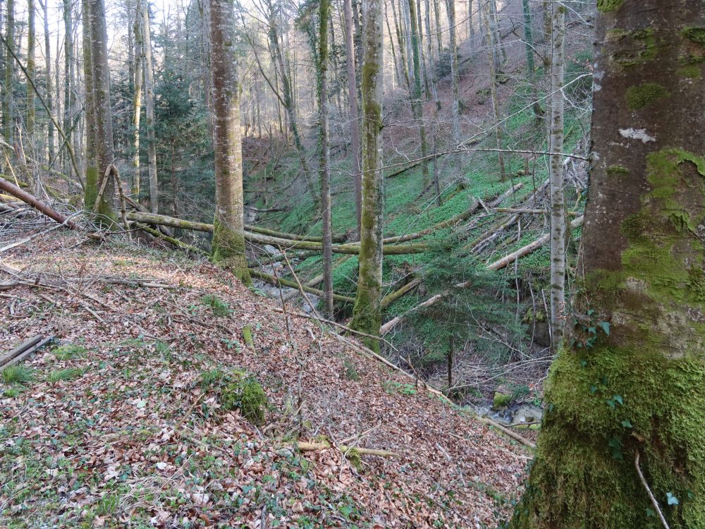 Eichbachtobel