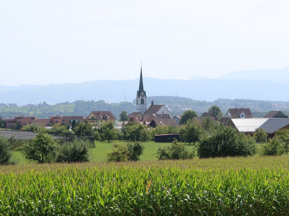Pfarrkirche Sins