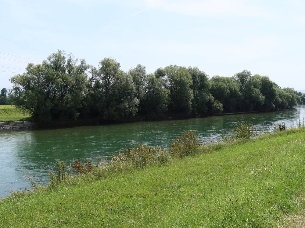 Reuss bei Mühlau