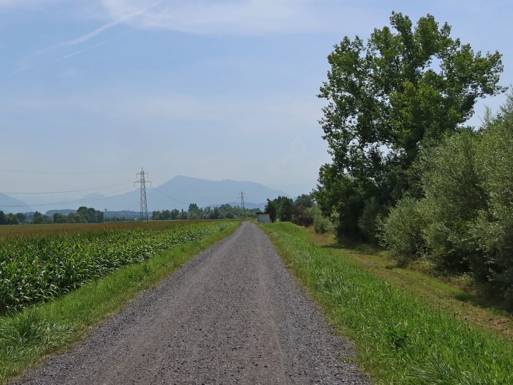 Dammweg und Rigi im Dunst