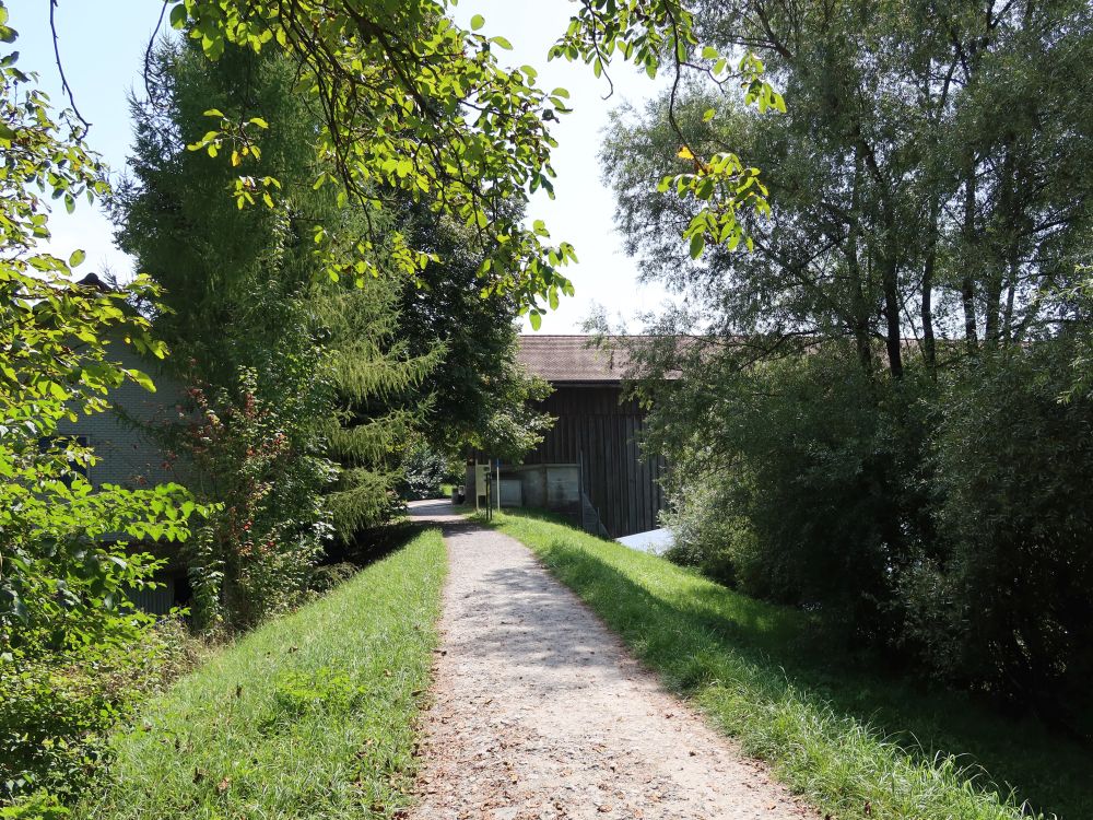 Dammweg bei Zollweid