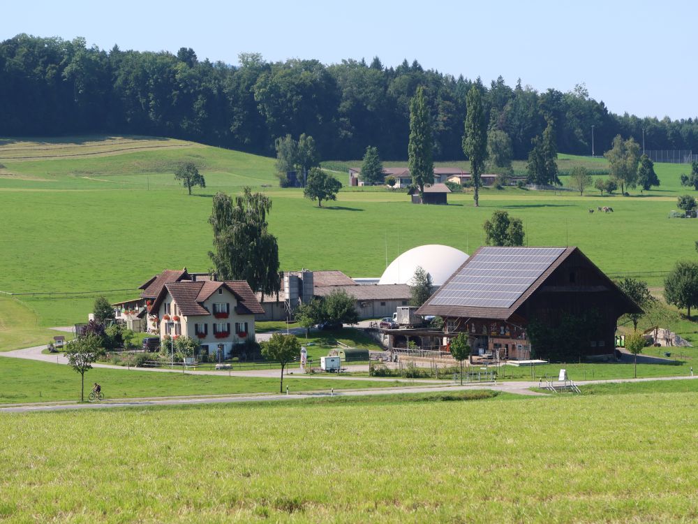 Bauernhof Waisehus
