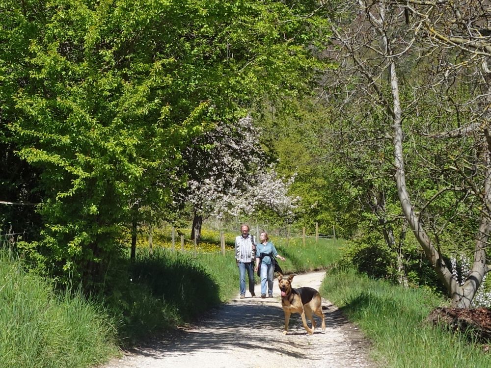 Spaziergänger mit Hund