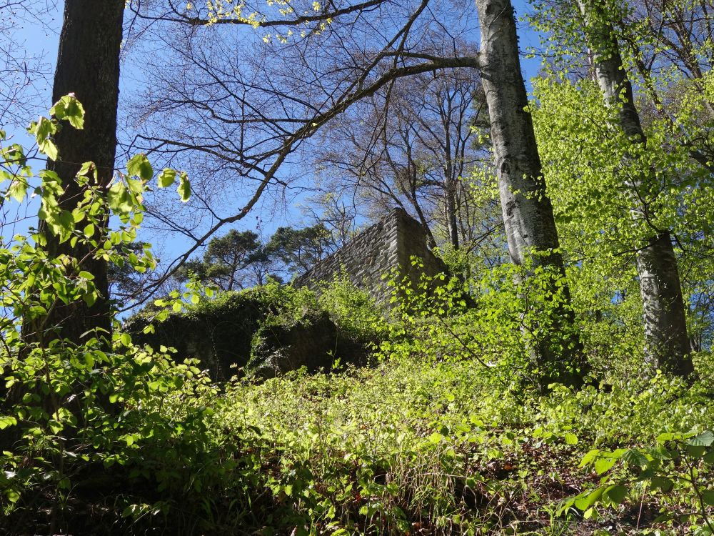 Burgruine Hohenfels