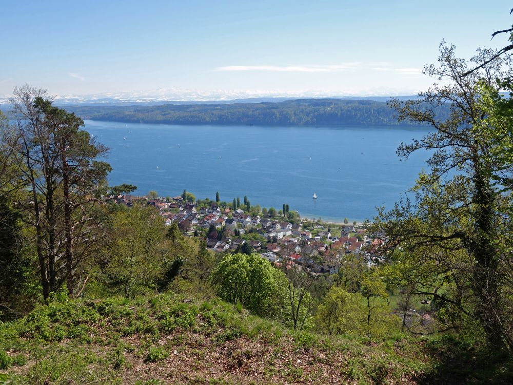 Blick auf Sipplingen