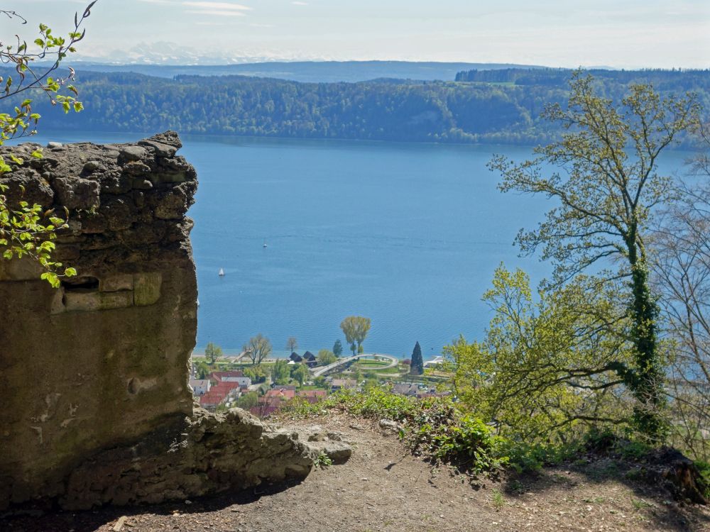 Blick von der Burgruine