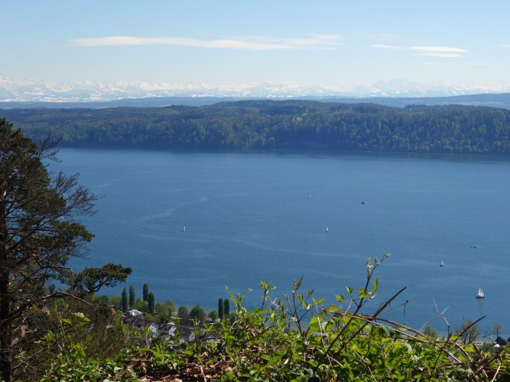 Überlingersee