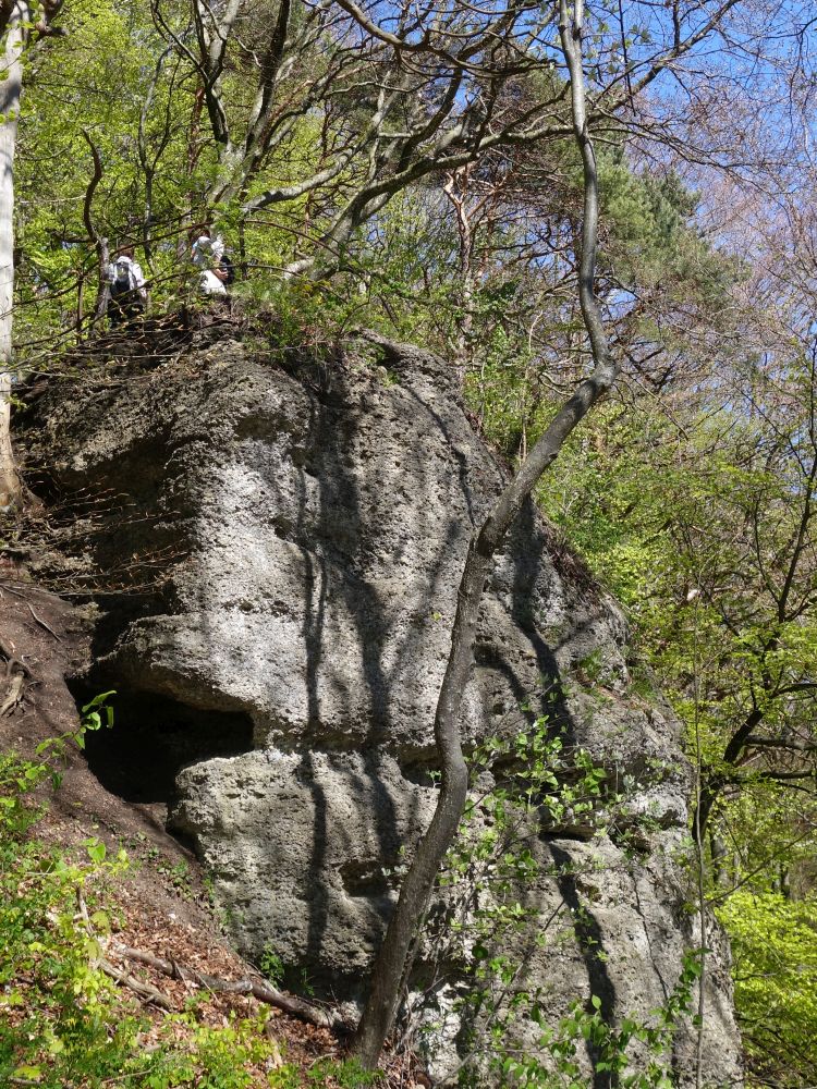 Aussichtsfels