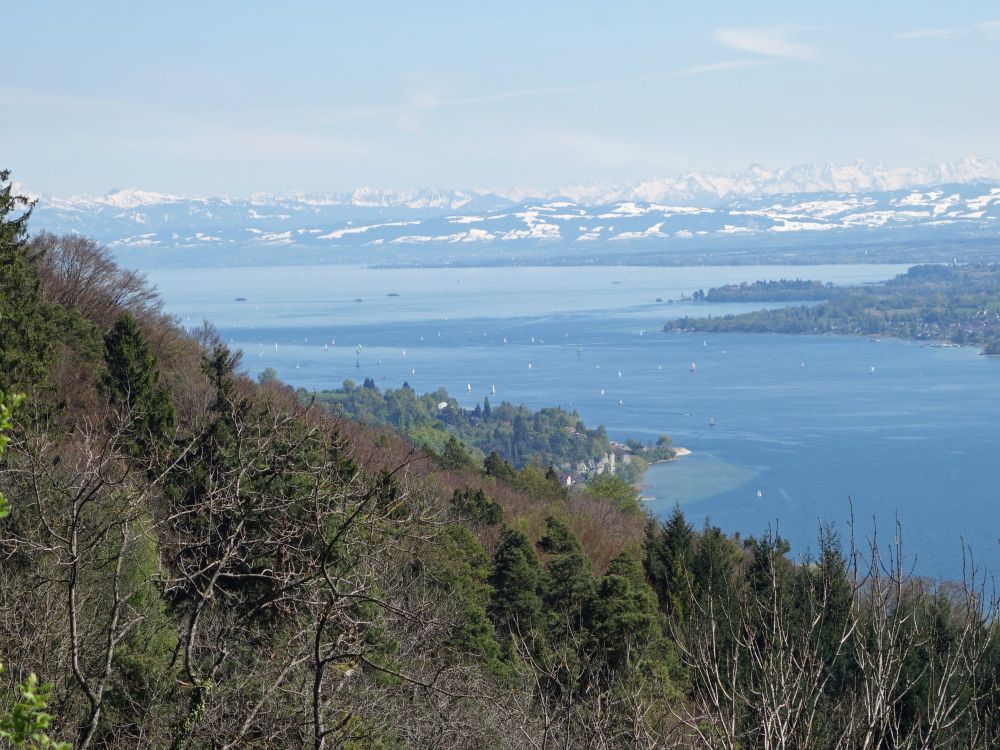 Blick über den Bodensee