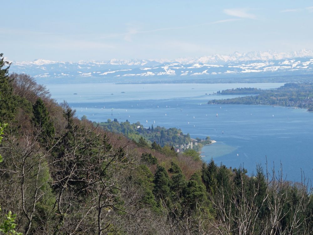 Blick ber den Bodensee