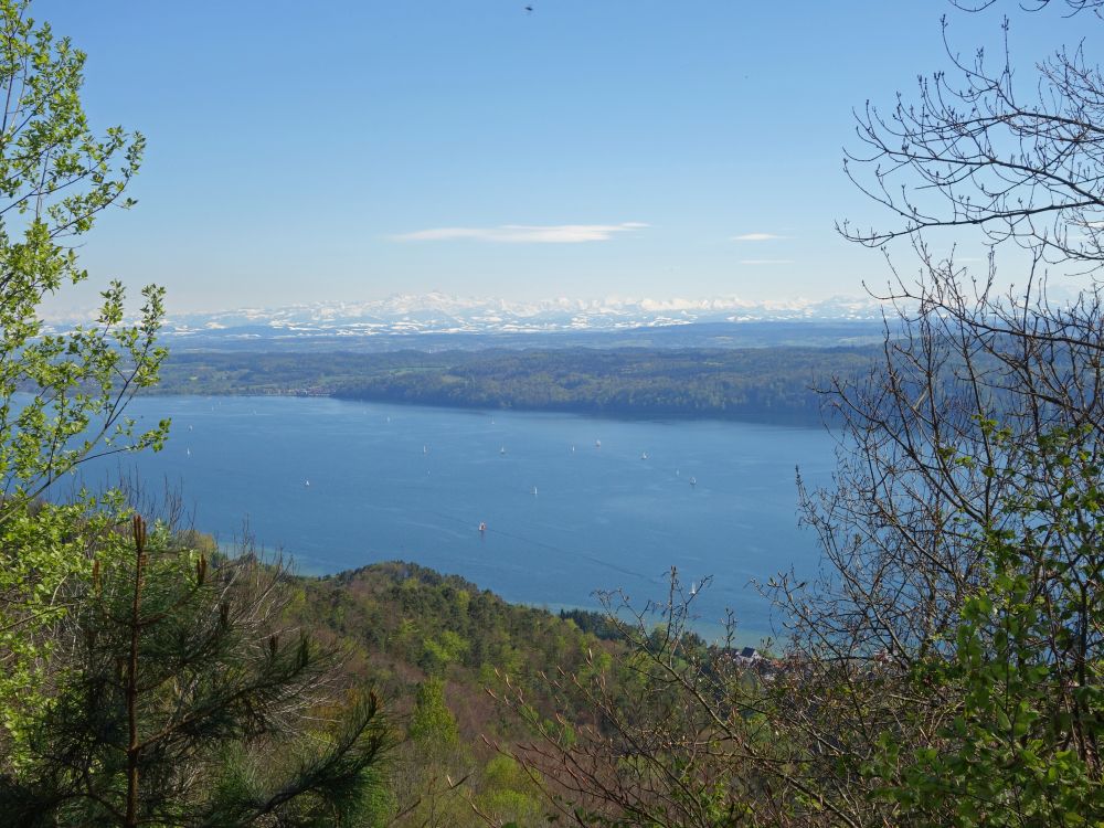 Blick ber den Bodensee