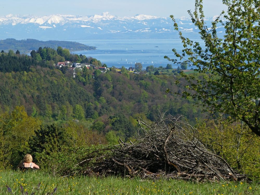 Blick Richtung Alpen