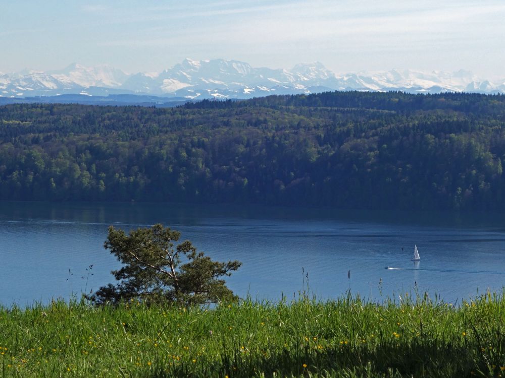 Blick über den Bodanrück