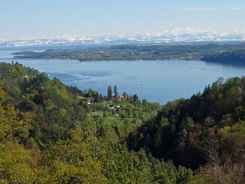 Bodensee und Alpen