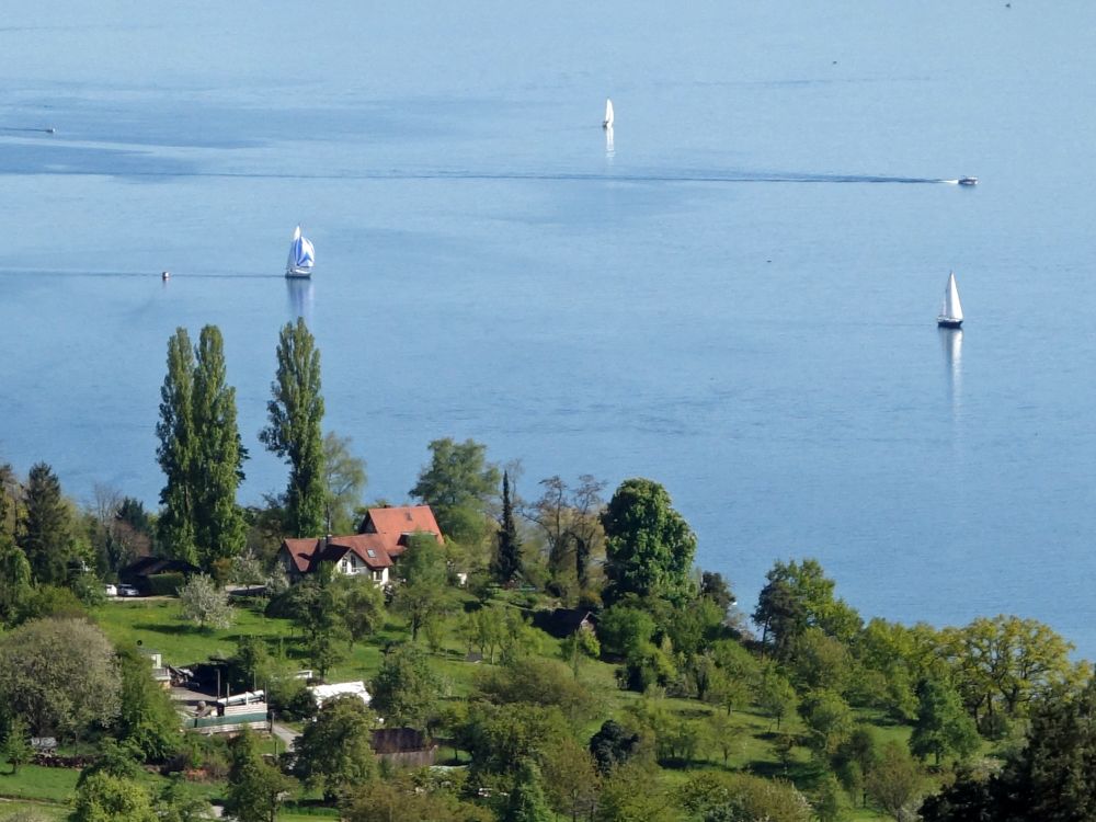 Blick auf den Bodensee