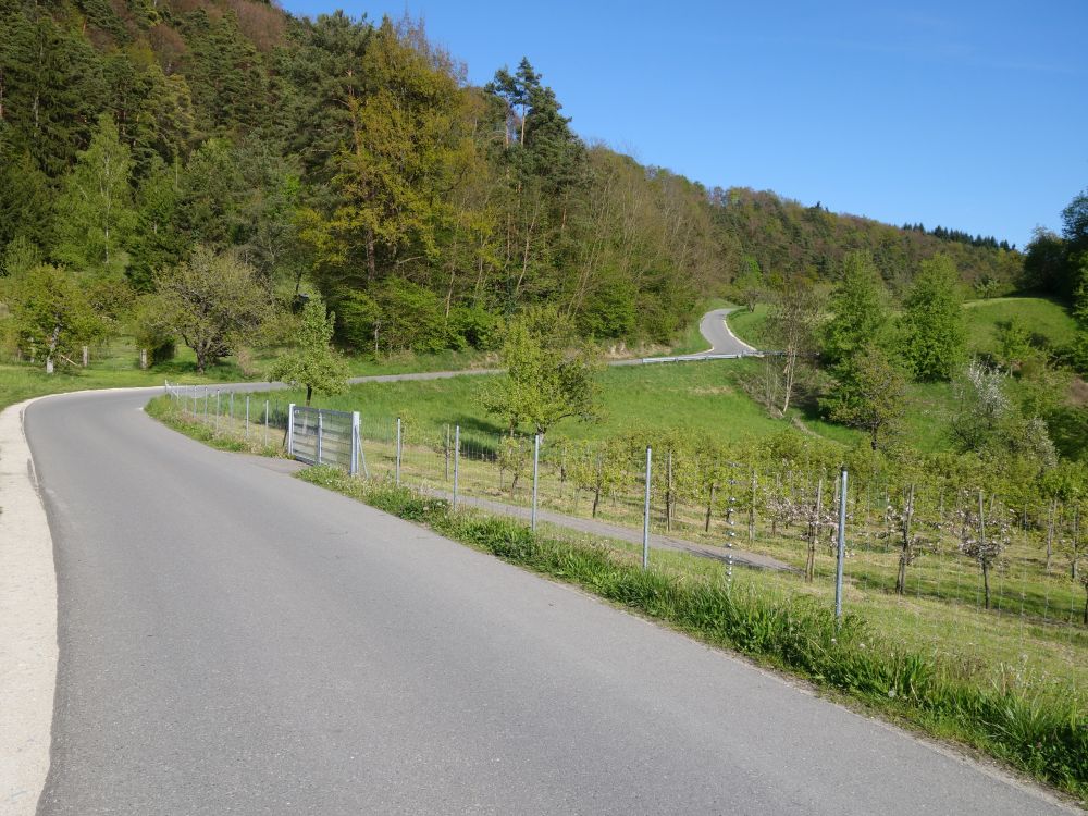 Strässchen nach Süssenmühle