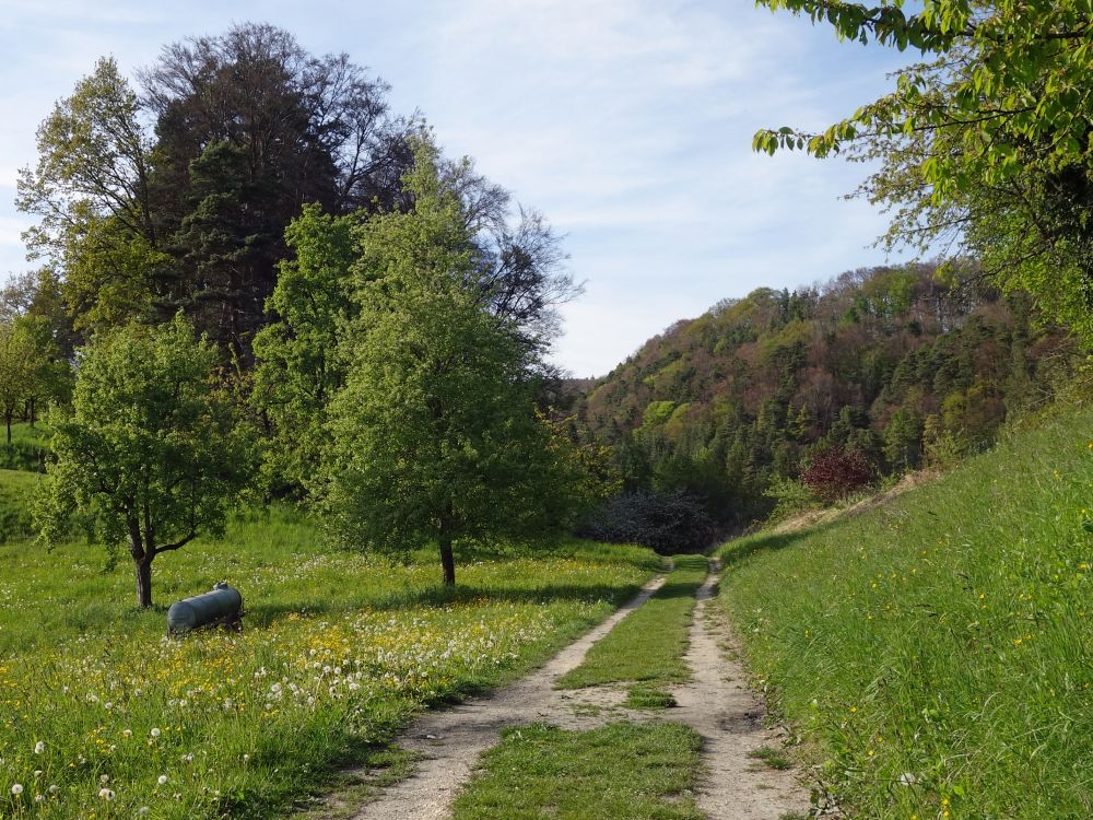 Weg nach Süssenmühle