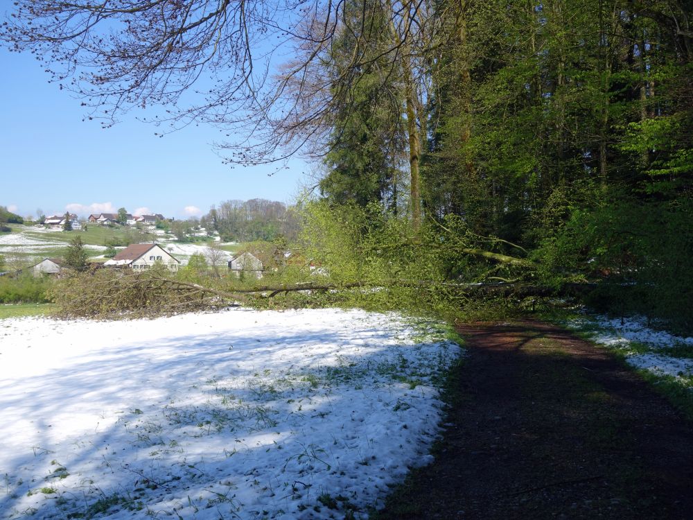 blockierter Wanderweg