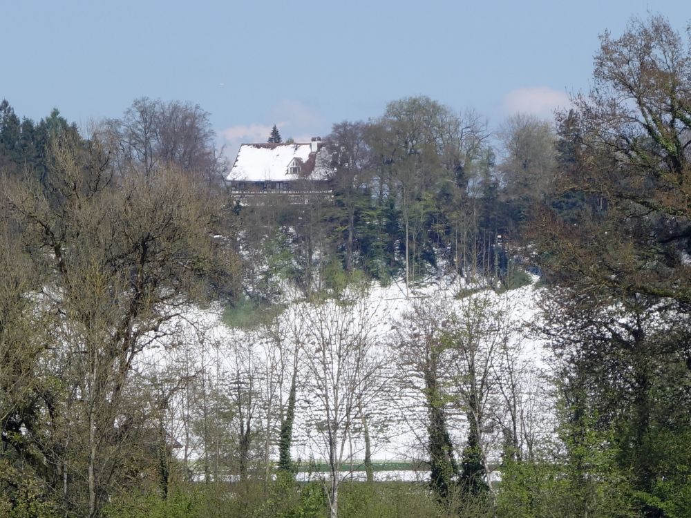 Schloss Blidegg