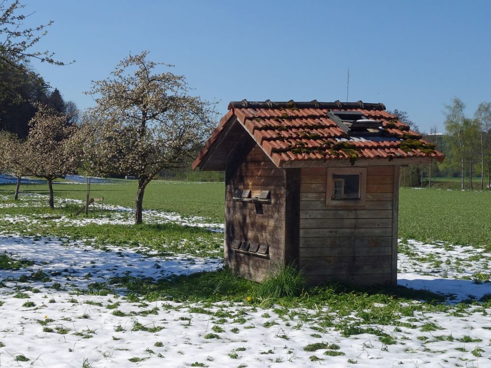 Bienenhaus