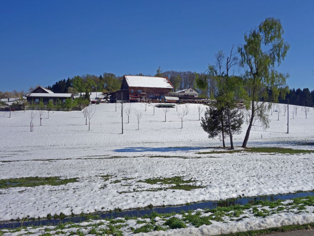 Bauernhof bei Wilen