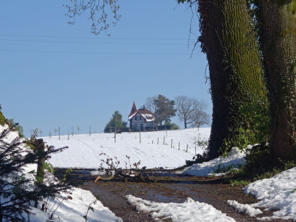 Vogelhärd