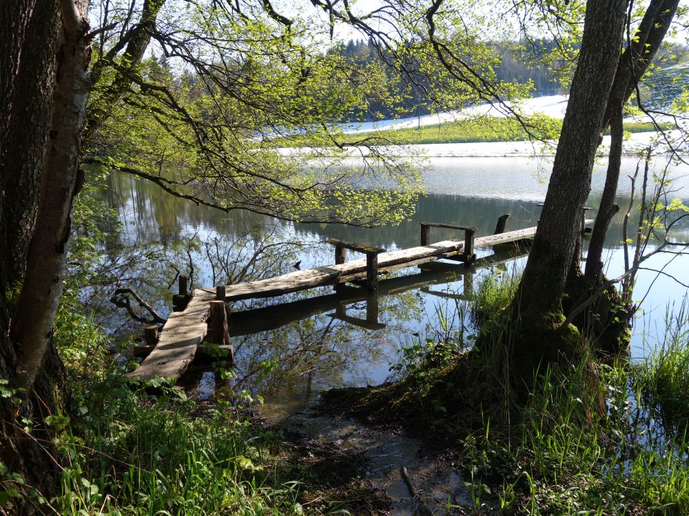 Steg am Hoorbacher Weier