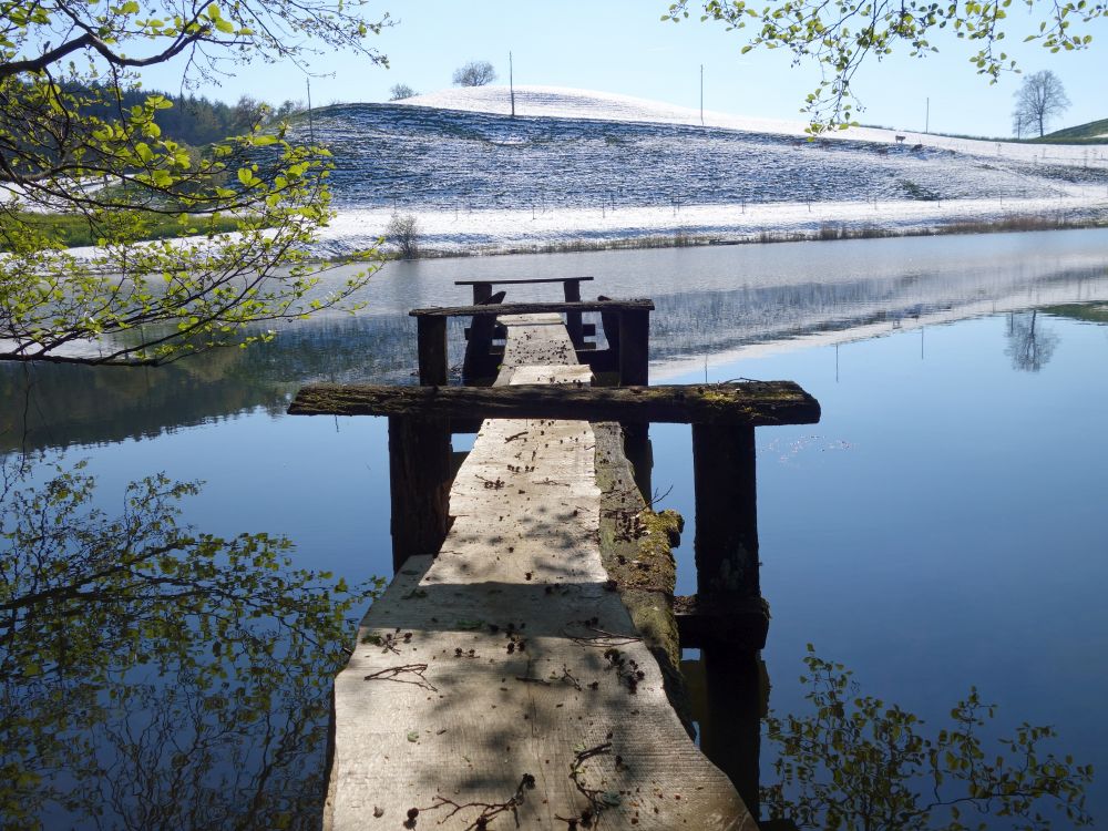 Steg am Hoorbacher Weier