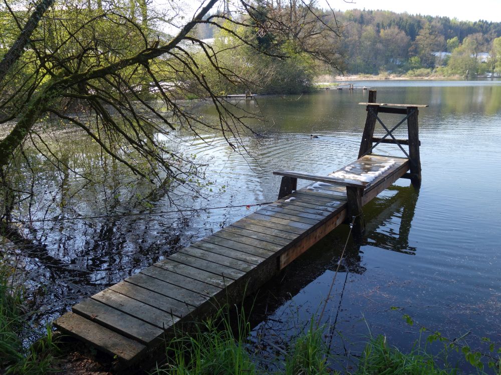 Steg am Hoorbacher Weier