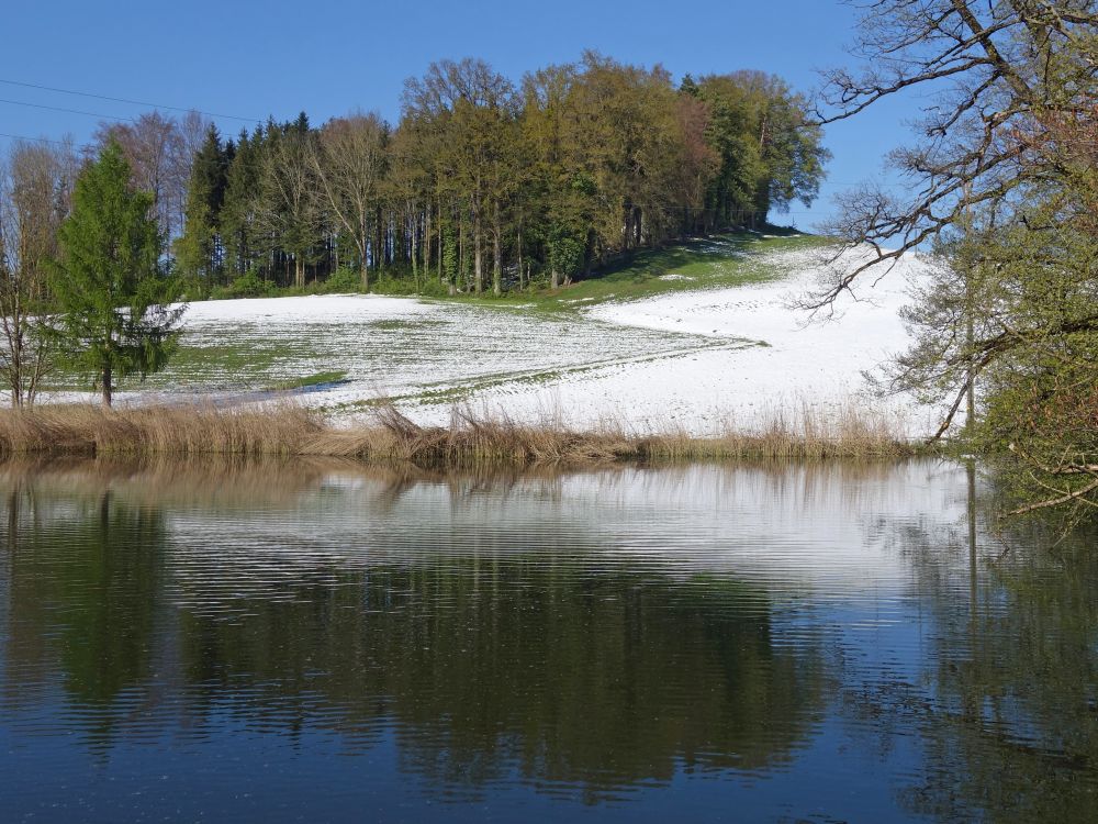 Hoorbacher Weier