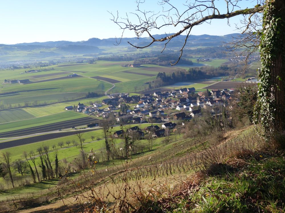 Blick auf Stettfurt