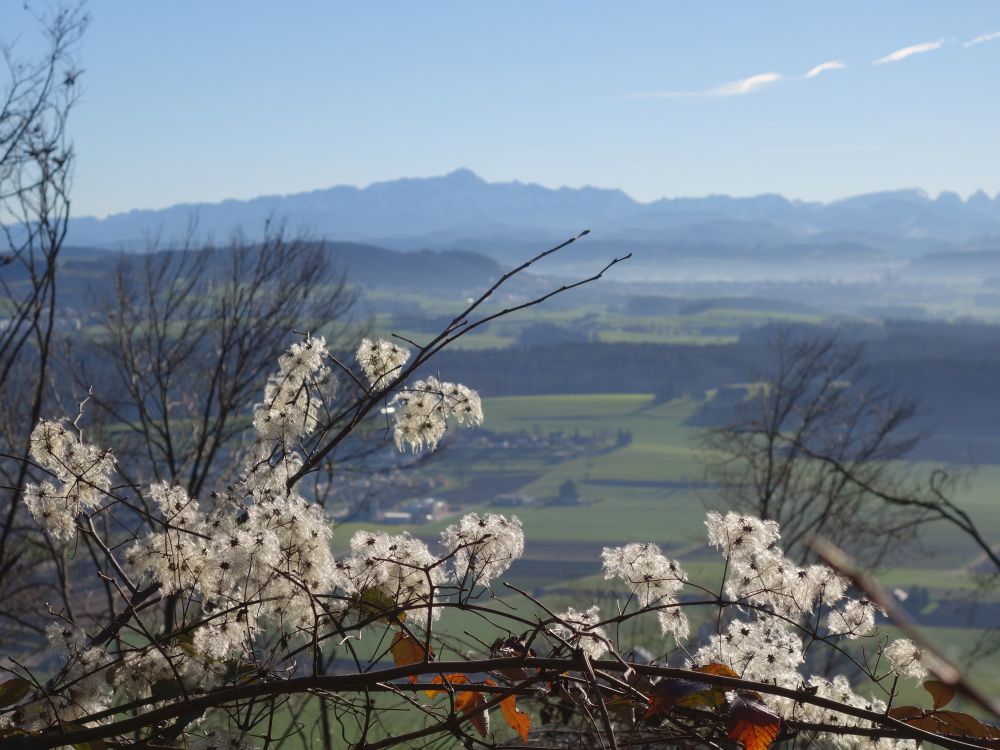 Blick vom Imebrg Richtung Sntis