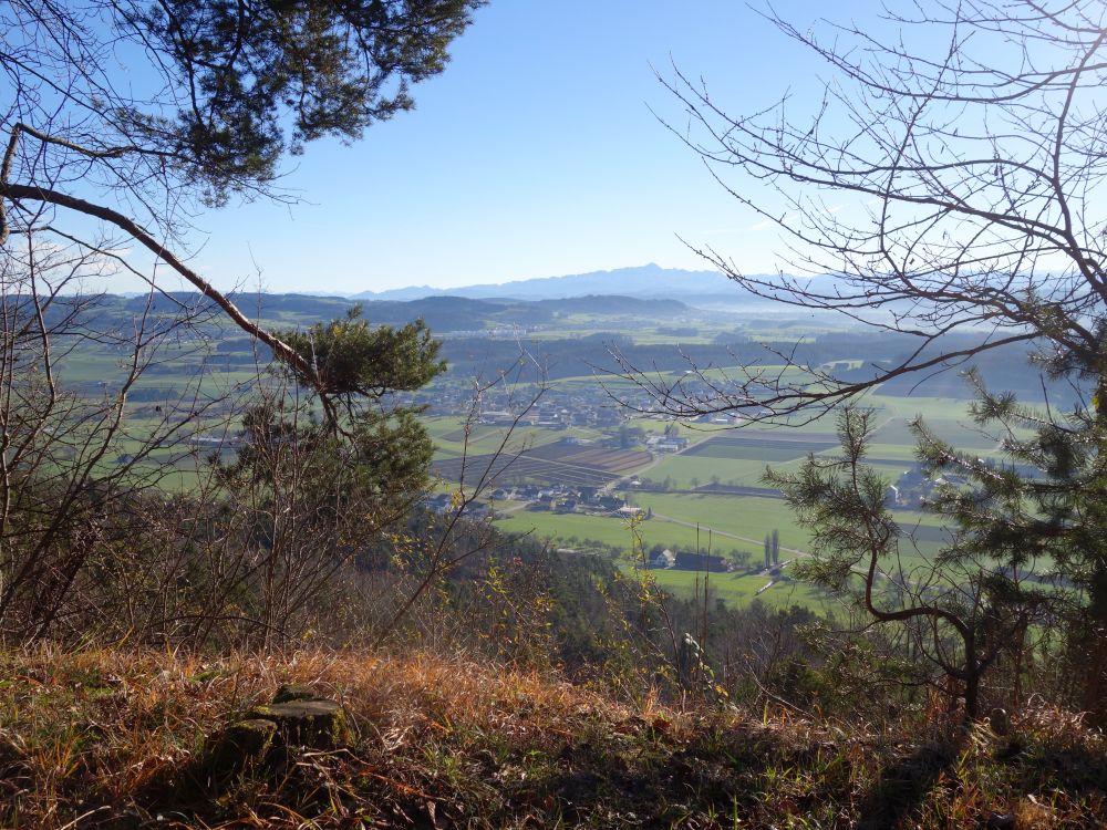 Weingarten, Lommis und Säntis