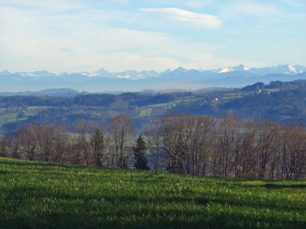 Alpenblick