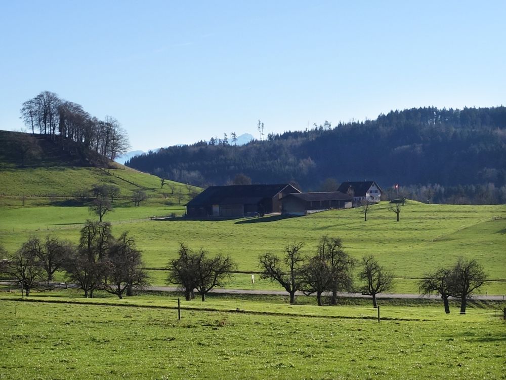Bauernhof Guggenbel