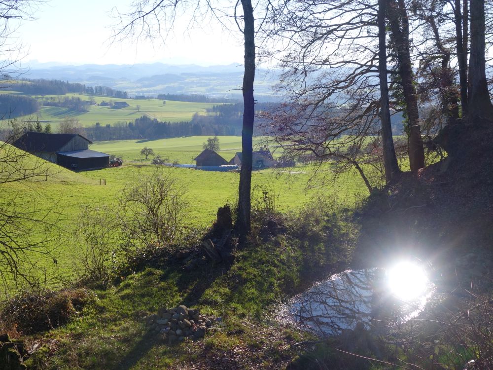 Blick auf Bauernhof Freiberg