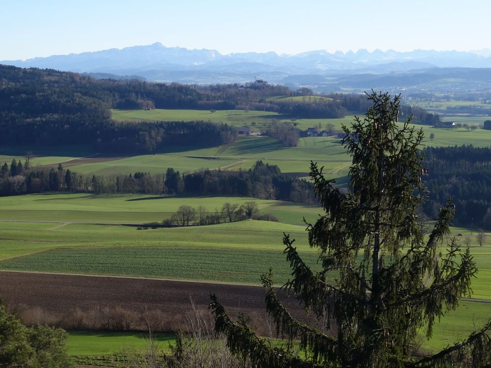 Blick ber Sonnenberg auf Sntis und Churfirsten