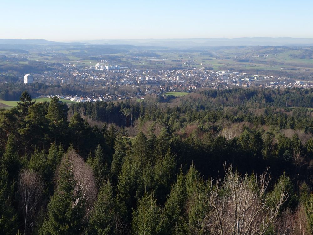 Blick auf Frauenfeld